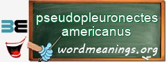 WordMeaning blackboard for pseudopleuronectes americanus
